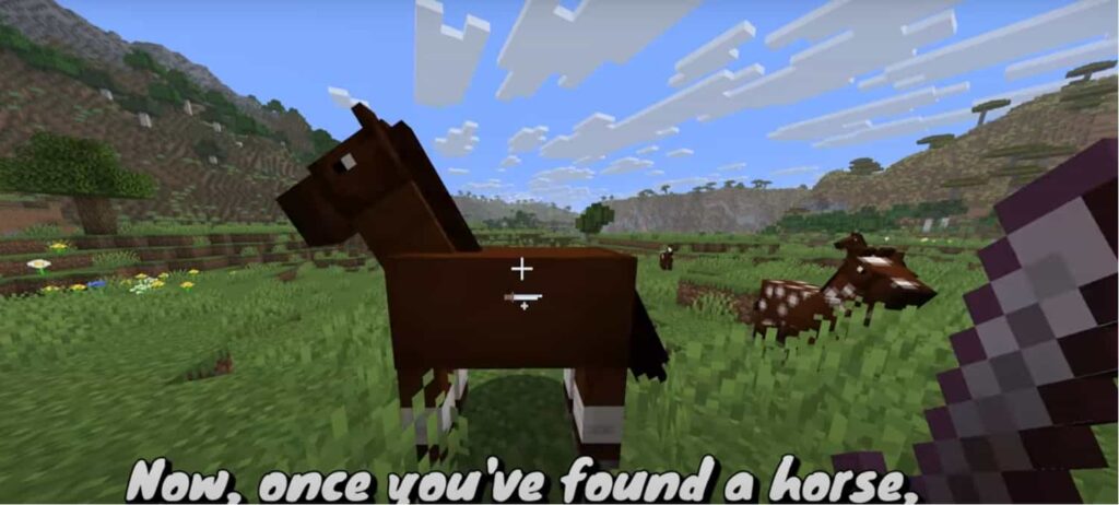 where to find horses in minecraft plains biome